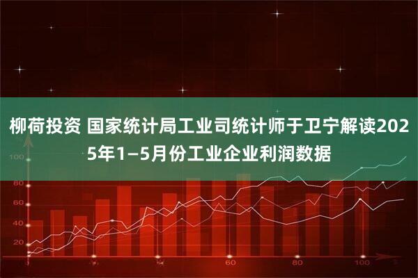 柳荷投资 国家统计局工业司统计师于卫宁解读2025年1—5月份工业企业利润数据