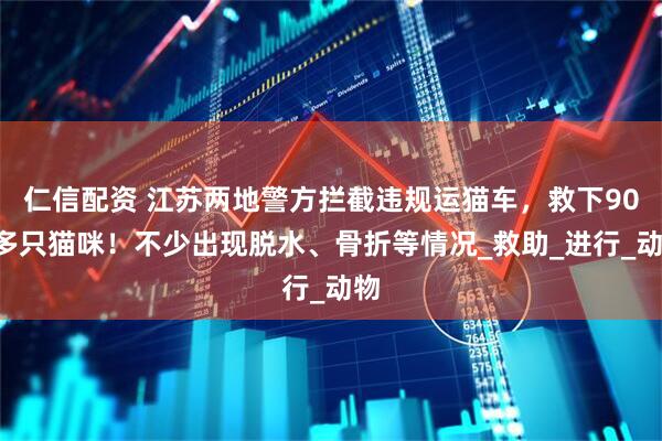仁信配资 江苏两地警方拦截违规运猫车，救下900多只猫咪！不少出现脱水、骨折等情况_救助_进行_动物