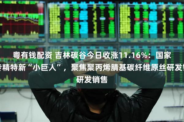 粤有钱配资 吉林碳谷今日收涨11.16%：国家级专精特新“小巨人”，聚焦聚丙烯腈基碳纤维原丝研发销售