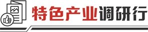 闪电策略 小泳装撬动大市场 东北海滨小城的全球生意经